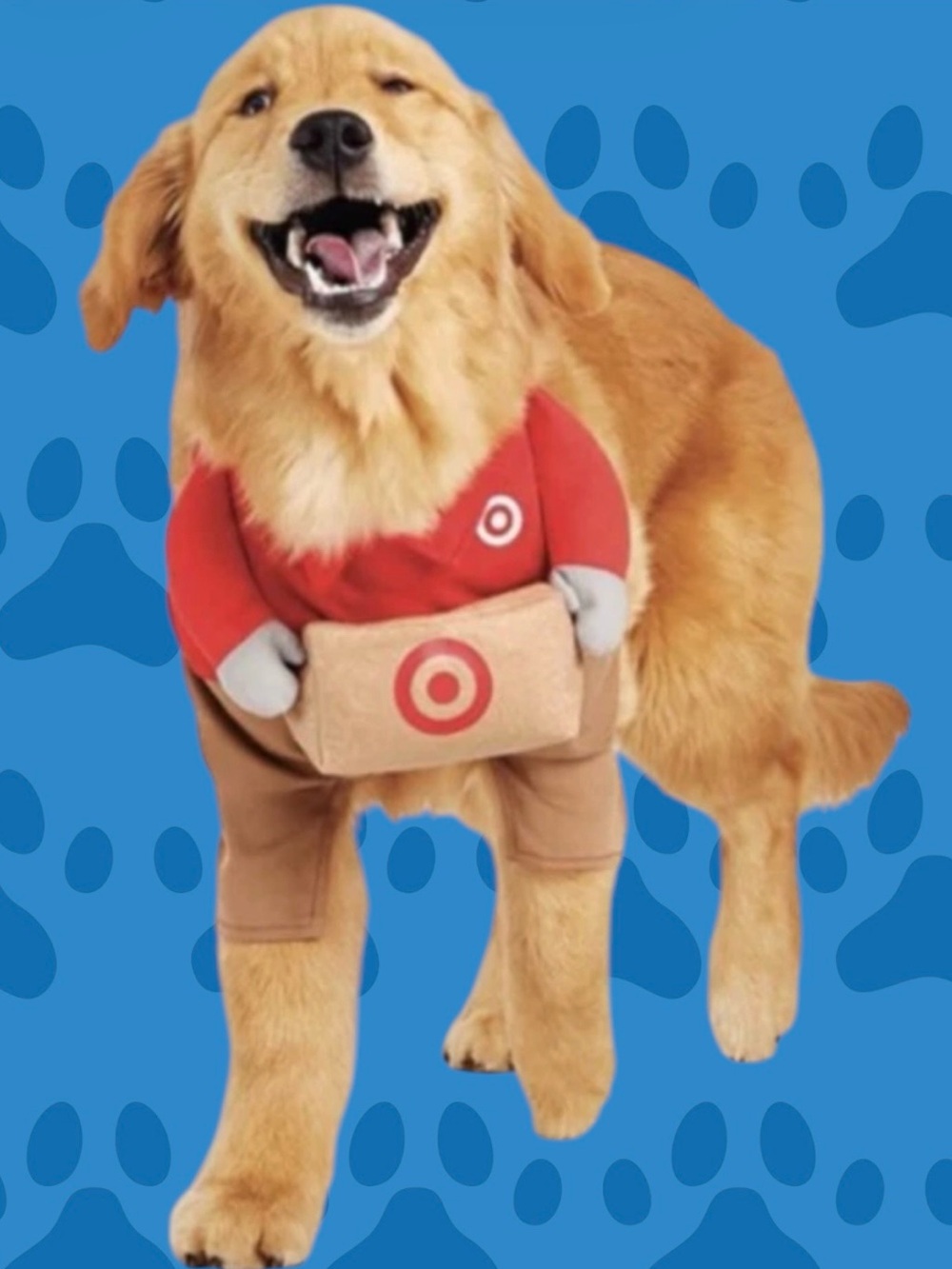Halloween Dog Costume with Toy